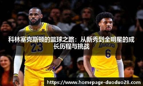 多多28官网